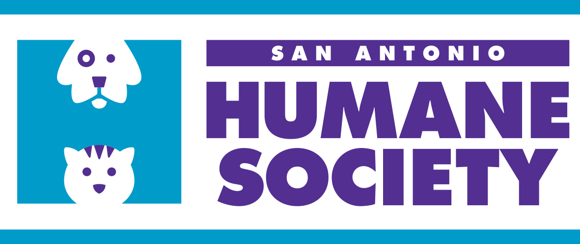 humane society san antonio        <h3 class=